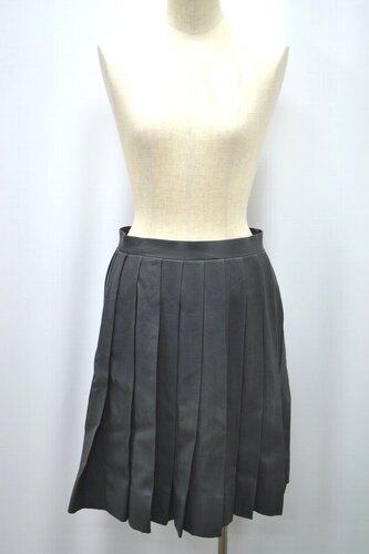  Zs {w񒆊w wZ ~XJ[g 5885