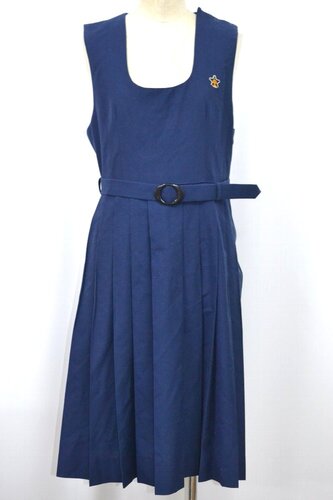  Zʌ zJs告͒wZ ăWp[XJ[g &0953