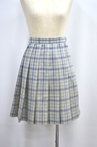  Zs {w񒆊wZEwZ ăXJ[g &0954