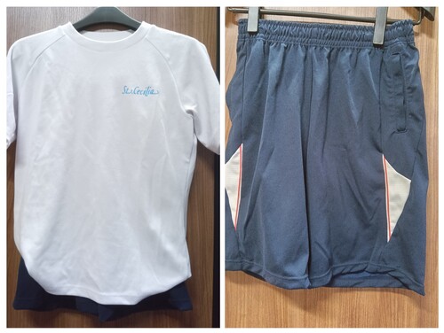 �_�ސ쌧 ���Z�V���A���q���w���Z�@�̑����V���c���n�[�t�p���c�@�Z�b�g�@�T�C�YL