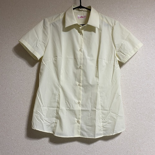 [�s��] 2386 BE STELLA �����u���E�X �C�G���[ LL�T�C�Y