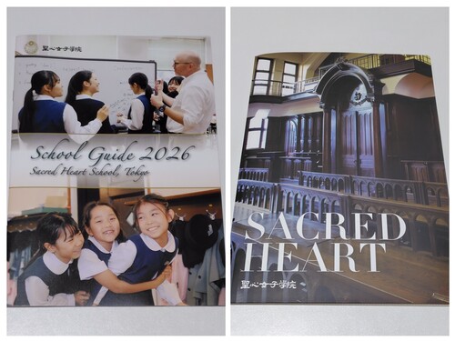 s sZ[[Ղ聙tqZ Sqw@̍ŐVptbgi2026NxŁjyc@qq܏ogZz