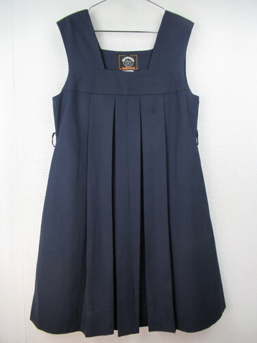  6359@360@傫ȃTCYIԗtw ăWXJ n