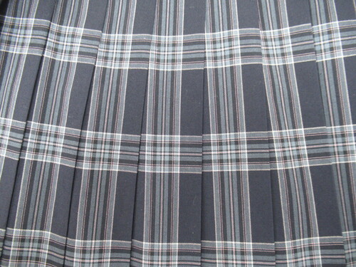 Ɍ 6386@390@Γ썂Z ăXJ[g +O[{sN `FbN