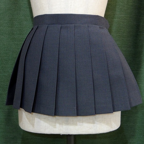 ��ʌ� �u��{�������w�v�X�J�[�g��/�}�C�N���~�j��29cm��W67-62��(B589)