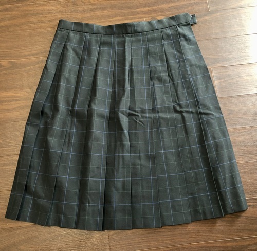 [s] t2A@@sZ@ăXJ[g@傫