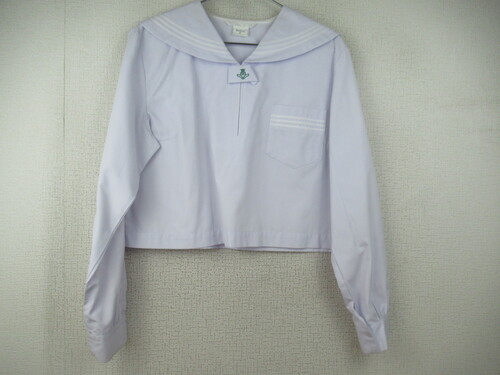 Ɍ 6422@250@傫ȃTCYIdZ ԃZ[[㒅