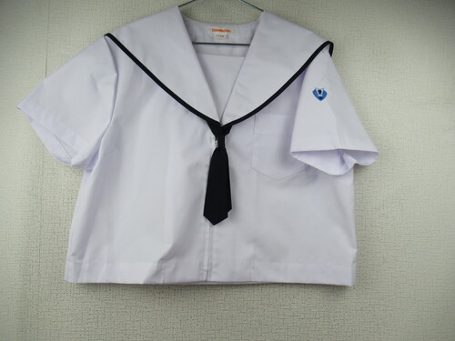 啪 6464@270@TCYIAcw ăZ[[㒅 ^Ct OWbp[ gp