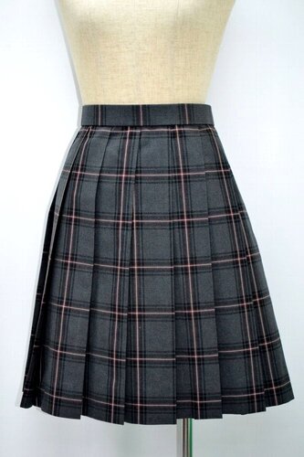  size _ސ쌧 cwZ ăXJ[g NA0439