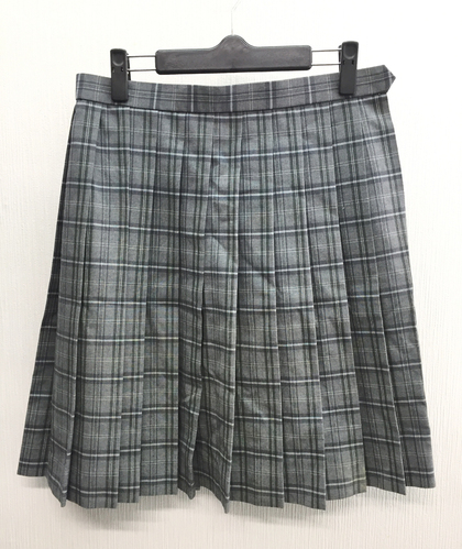  a���ǍD �r�b�O�T�C�YW70L51�������s����򍂓��w�Z �l�C�`�F�b�N�� �ăX�J�[�g���O���[ ZIPPY