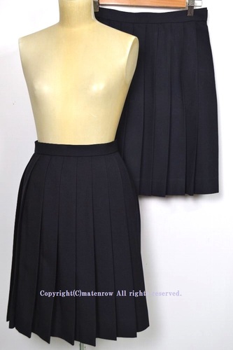  Zʌ ܎sYa썂wZ ~ăXJ[g J5980