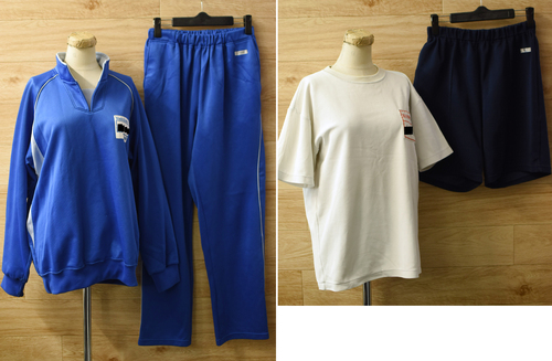  cʌ gswZ w菗qW[WȆEqo[EFAȆp 