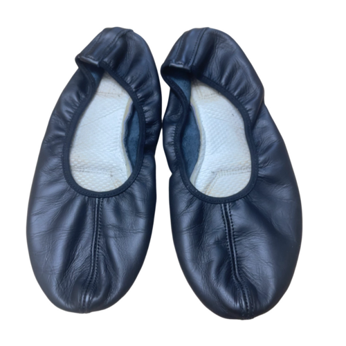 s \wwZ@_XV[Y@24.5 󏭁@P[Xt