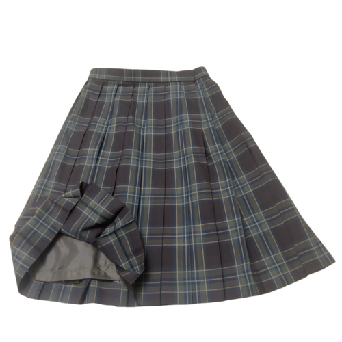 ʌ ʌ{ƍwZ@Ăɂ͒uEn`FbN@n