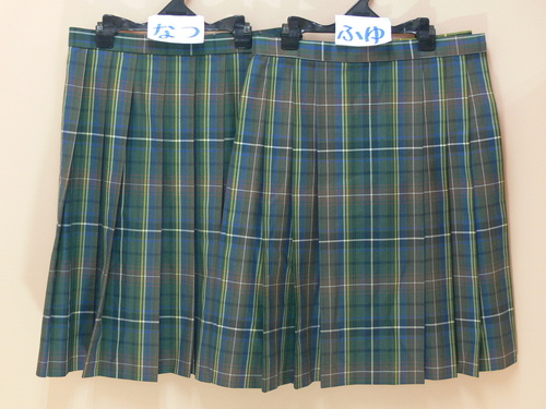 { 840ΗZ@āE~̃XJ[g@`FbN@iq@v[cXJ[g