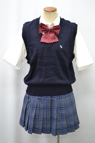  ZuEX xXg ăXJ[g { s 6000