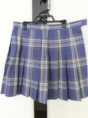 _ސ쌧 EFXg74@ls 򑍍Z ăXJ[g ~jXJ[g@TikTok 