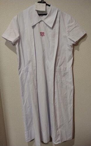 Ɍ 2@Ɍ@_ˎs@@wZ@ĕ@傫TCY@xgi@Ki 