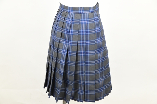 _ސ쌧 {wZ ys ~XJ[gz/3762SE