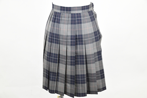 _ސ쌧 {wZ ys ăXJ[gz/3762SE