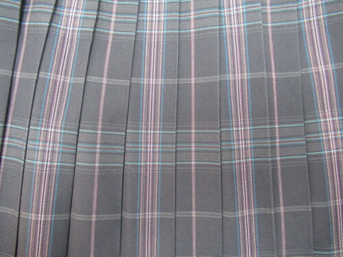 [s] 6562@500@~XJ[g VARSITYMATE TOMBOW +O[{ `FbN