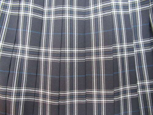 [s] 6586@400@ăXJ[g {n{ `FbN