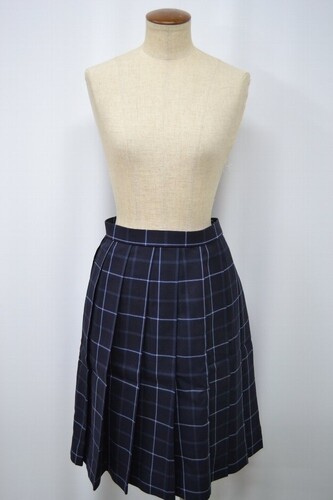  Zsize s w wZ ~XJ[g 6009