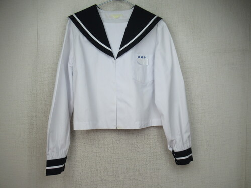 {茧 6600@300@傫ȃTCYIw ԃZ[[㒅 