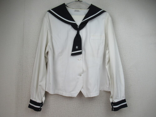 F{ 6601@280@傫ȃTCYIԃZ[[㒅 MITSUTA  ^Ct O{^