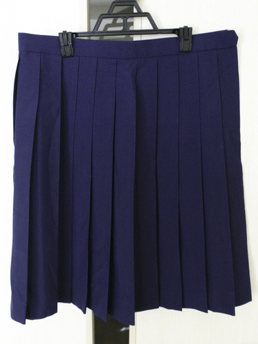 s 傫@VQ|TS@CZ@ăXJ[g@n@@^