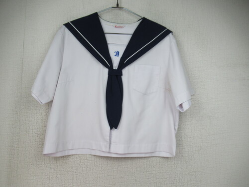  6609@220@傫ȃTCYI쒆w ăZ[[㒅  OzbN