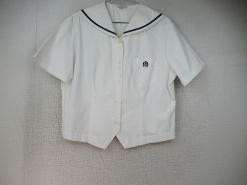 啪 6631@160@傫ȃTCYIBJZ ăZ[[㒅 O{^