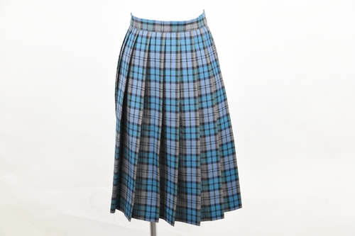 _ސ쌧 VhZy ~XJ[gz/D259