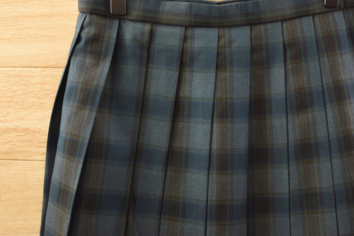  cʌԌzwZ lC`FbN ~XJ[gZEȂ