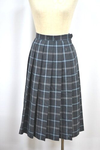  Zʌ ΍wZ ăXJ[g &1020