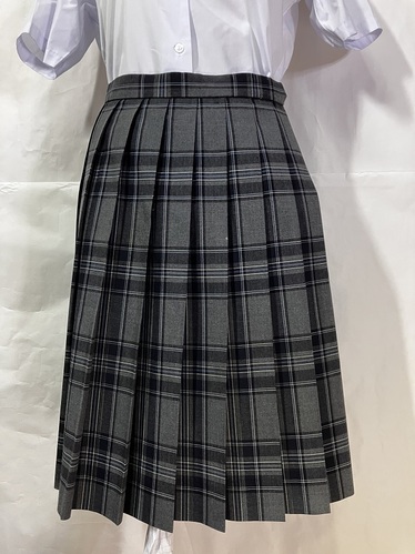  _ސ쌧 ˈwq ăXJ[g mk25154