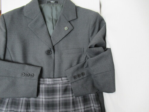 {茧 6656@1020@傫ȃTCYI{wZ ~㒅+ăXJ[gZ͕t