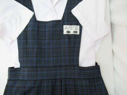  6691@690@傫ȃTCYI鍁w uEXăWXJ