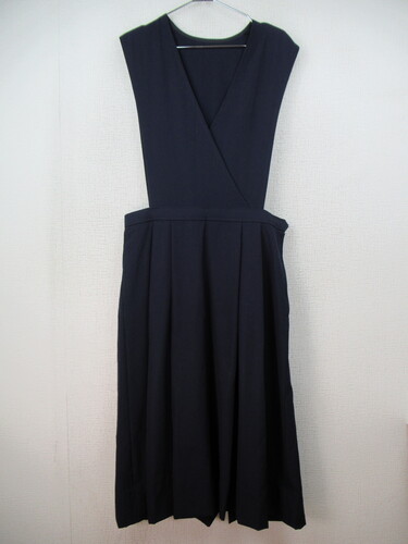 [s] 6699@540@傫ȃTCYIăWXJ n 100