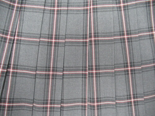 ޗǌ 6725@370@傫ȃTCYI鐝Z ăXJ[g O[{{ `FbN