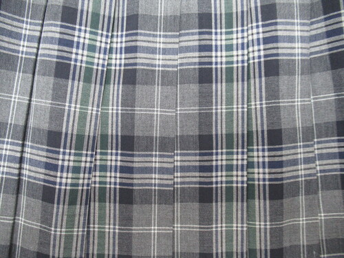 {茧 6736@310@傫ȃTCYI͊w ăXJ[g O[{{ `FbN