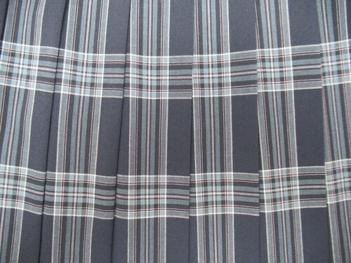 Ɍ 6737@390@Γ썂Z ăXJ[g {O[{sN `FbN