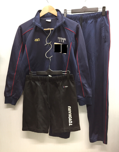  bʌ tsLtwZ w W[W㉺n[tpcM