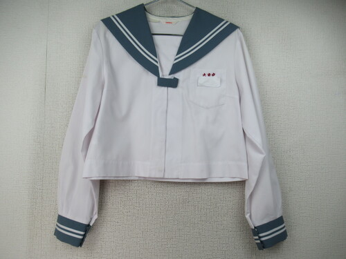 {茧 6756@220@呩w ԃZ[[㒅 O[ OzbN