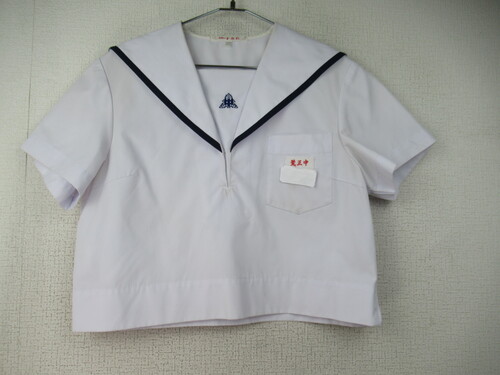 F{ 6768@210@傫ȃTCYIrOw ăZ[[㒅