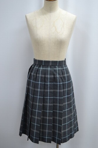  Zsize ʌ ΍wZ ăXJ[g 6028