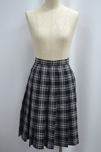  Zʌ 쑍wZ ăXJ[g 6029