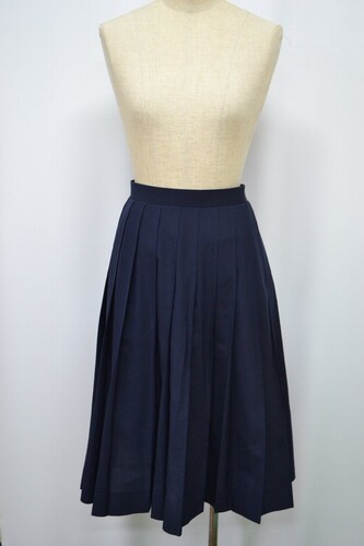  Zsize W76 ʌ ߃s ߃wZ ăXJ[g 6038