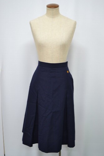  Zsize ʌ Rs RwZ ăXJ[g nt 6041