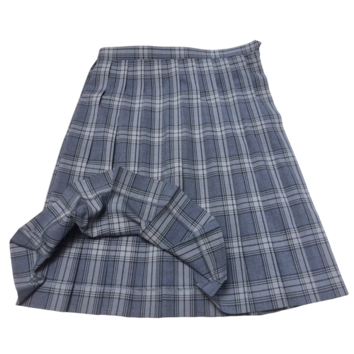 ʌ ܎st쒆wZ@ăXJ[g@Pi